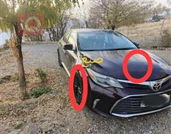 تويوتا أفالون